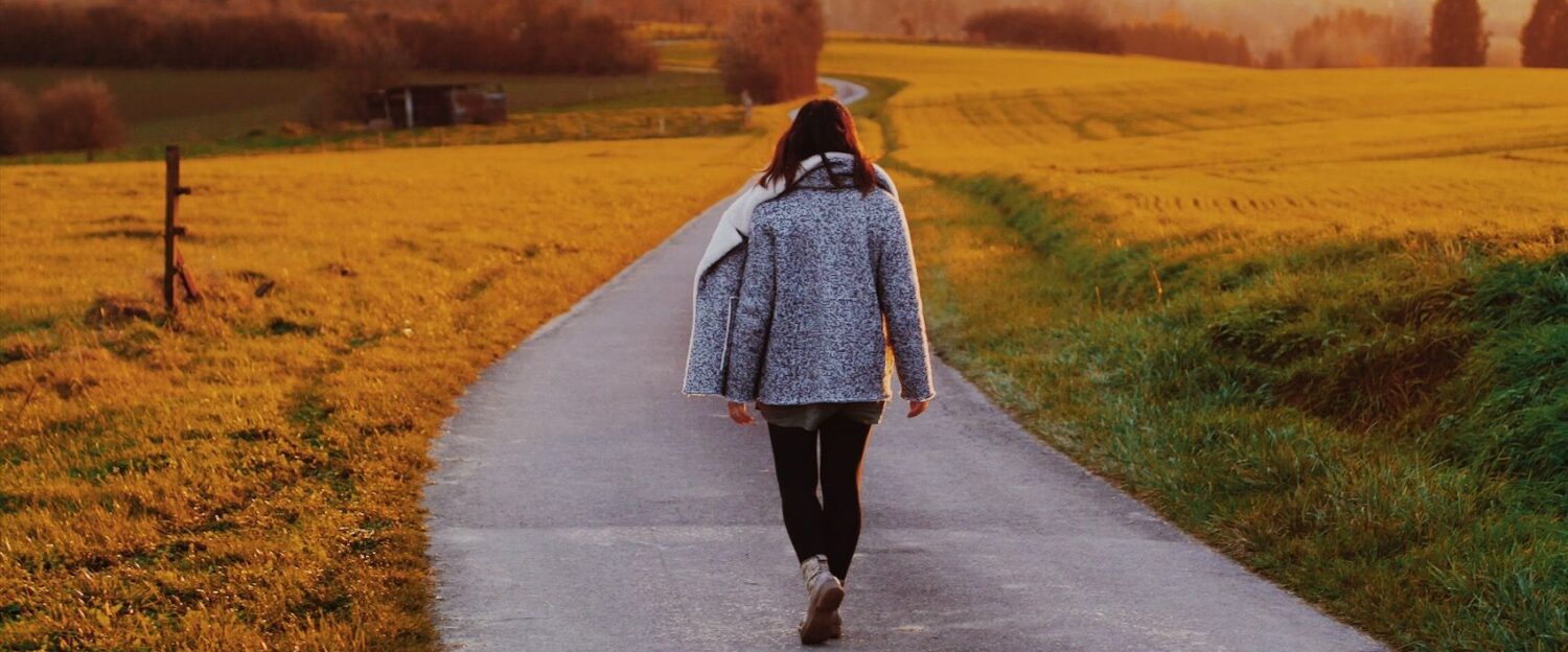 Le Voyage d'un Papillon