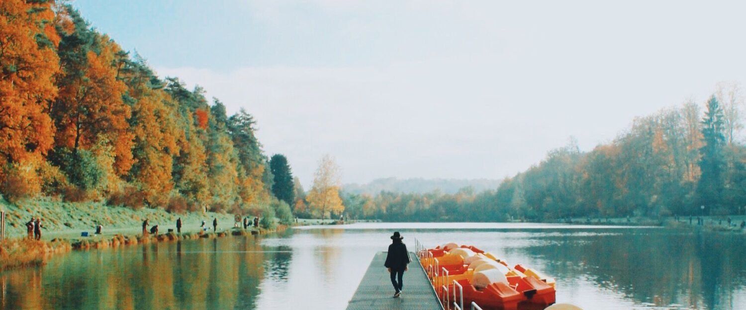 Le Voyage d'un Papillon